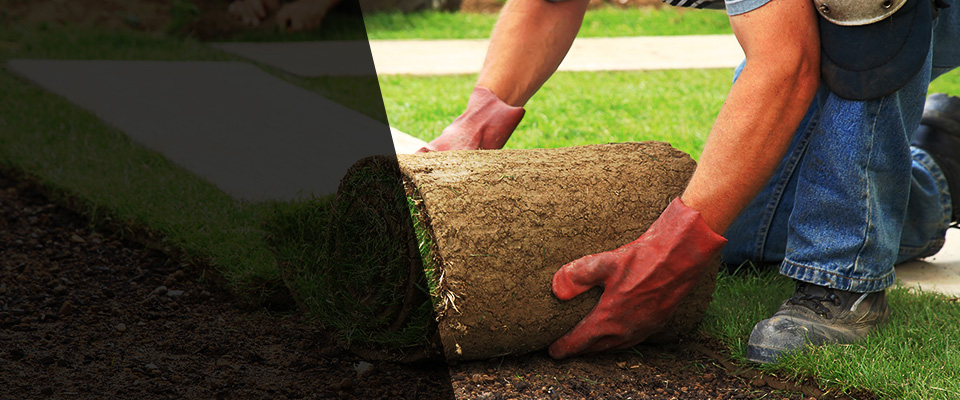 Corrales Landscapers